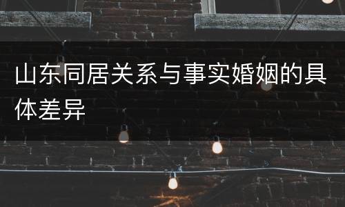 山东同居关系与事实婚姻的具体差异