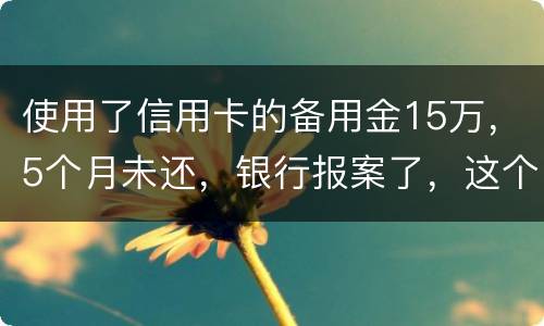 使用了信用卡的备用金15万，5个月未还，银行报案了，这个怎么处理
