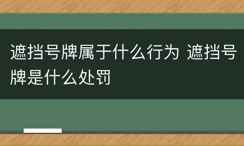 遮挡号牌属于什么行为 遮挡号牌是什么处罚
