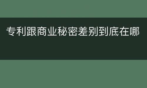 专利跟商业秘密差别到底在哪
