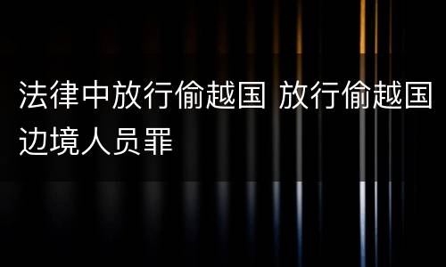 法律中放行偷越国 放行偷越国边境人员罪