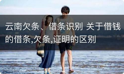 云南欠条、借条识别 关于借钱的借条,欠条,证明的区别