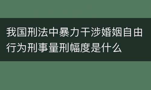 我国刑法中暴力干涉婚姻自由行为刑事量刑幅度是什么