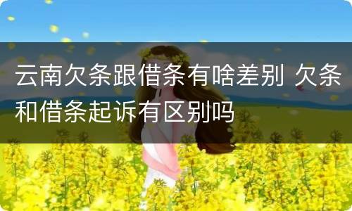 云南欠条跟借条有啥差别 欠条和借条起诉有区别吗
