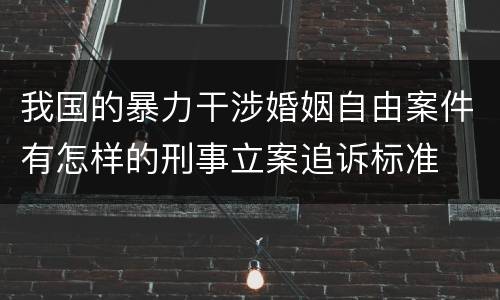 我国的暴力干涉婚姻自由案件有怎样的刑事立案追诉标准