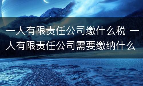 一人有限责任公司缴什么税 一人有限责任公司需要缴纳什么税