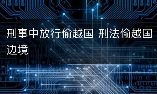 刑事中放行偷越国 刑法偷越国边境
