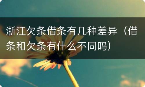 浙江欠条借条有几种差异（借条和欠条有什么不同吗）