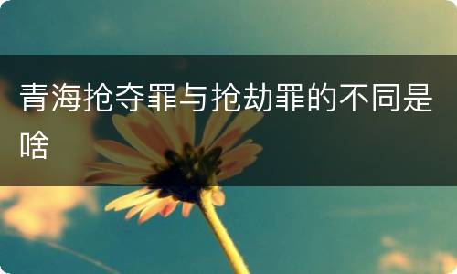 青海抢夺罪与抢劫罪的不同是啥