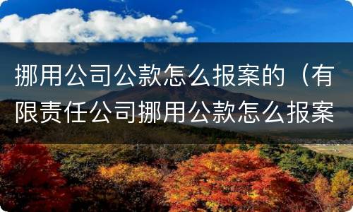 挪用公司公款怎么报案的（有限责任公司挪用公款怎么报案）