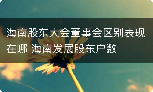 海南股东大会董事会区别表现在哪 海南发展股东户数