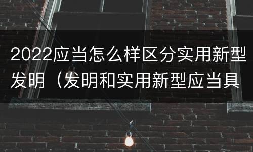 2022应当怎么样区分实用新型发明（发明和实用新型应当具备）