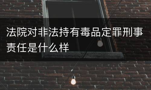 法院对非法持有毒品定罪刑事责任是什么样