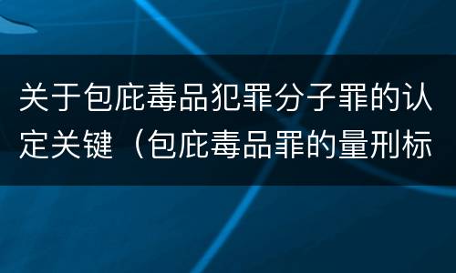 关于包庇毒品犯罪分子罪的认定关键（包庇毒品罪的量刑标准）