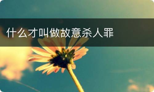 什么才叫做故意杀人罪