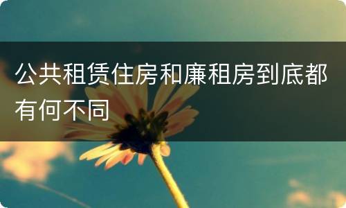 公共租赁住房和廉租房到底都有何不同
