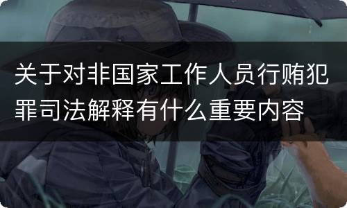 关于对非国家工作人员行贿犯罪司法解释有什么重要内容