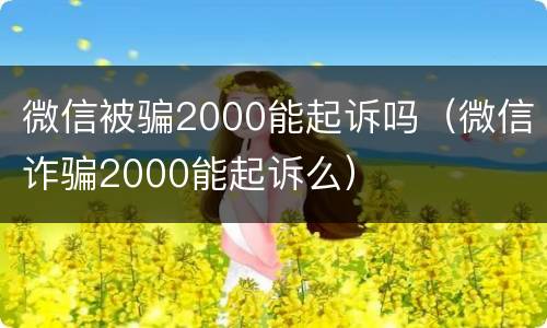微信被骗2000能起诉吗（微信诈骗2000能起诉么）