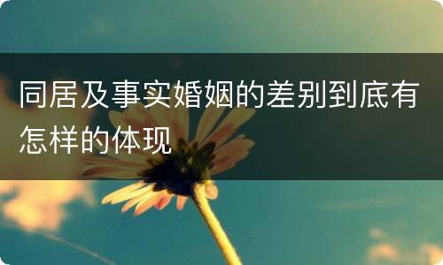 同居及事实婚姻的差别到底有怎样的体现