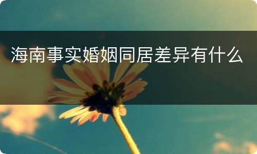 海南事实婚姻同居差异有什么