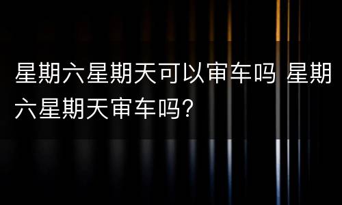 星期六星期天可以审车吗 星期六星期天审车吗?