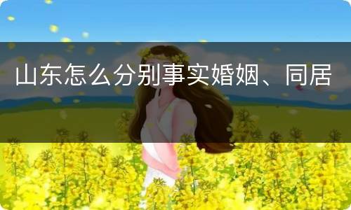 山东怎么分别事实婚姻、同居