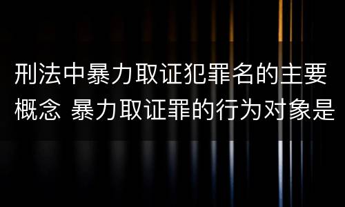 刑法中暴力取证犯罪名的主要概念 暴力取证罪的行为对象是