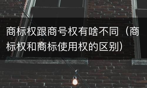 商标权跟商号权有啥不同（商标权和商标使用权的区别）