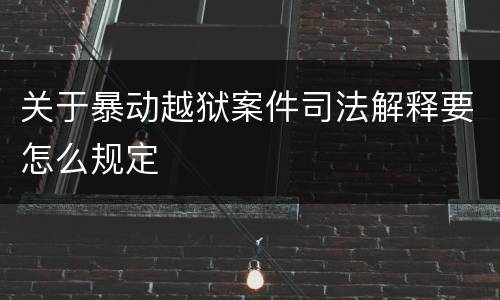 关于暴动越狱案件司法解释要怎么规定