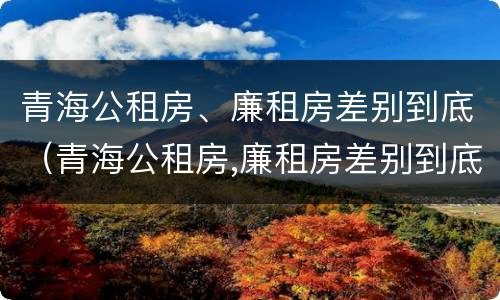 青海公租房、廉租房差别到底（青海公租房,廉租房差别到底大吗）
