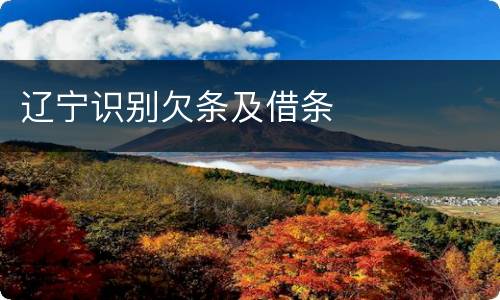辽宁识别欠条及借条