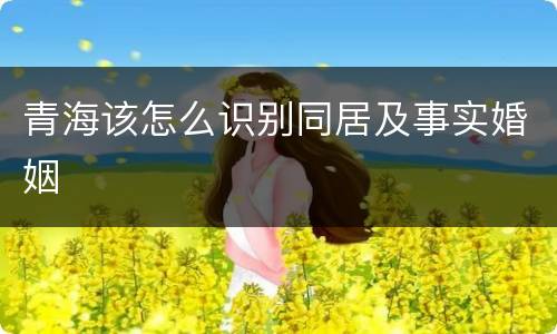 青海该怎么识别同居及事实婚姻
