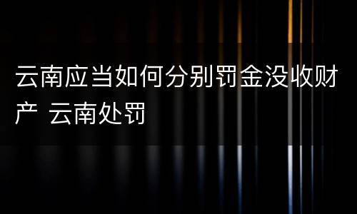 云南应当如何分别罚金没收财产 云南处罚