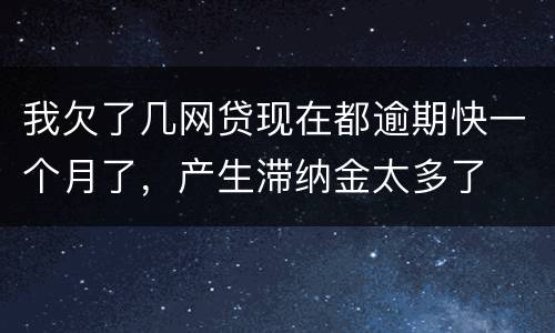我欠了几网贷现在都逾期快一个月了,产生滞纳金太多了