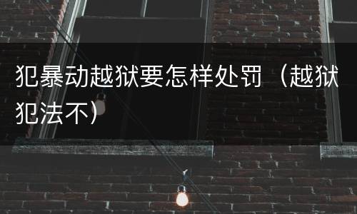 犯暴动越狱要怎样处罚（越狱犯法不）
