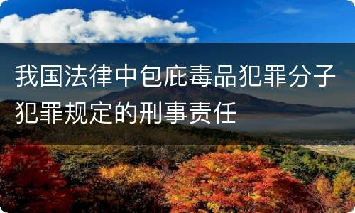 我国法律中包庇毒品犯罪分子犯罪规定的刑事责任