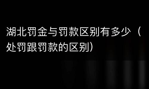 湖北罚金与罚款区别有多少（处罚跟罚款的区别）