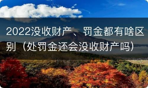 2022没收财产、罚金都有啥区别（处罚金还会没收财产吗）