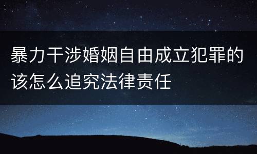 暴力干涉婚姻自由成立犯罪的该怎么追究法律责任