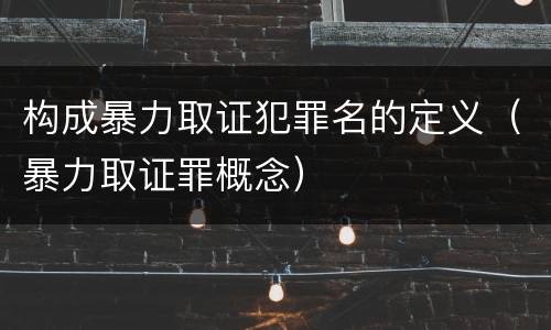 构成暴力取证犯罪名的定义（暴力取证罪概念）