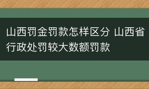 山西罚金罚款怎样区分 山西省行政处罚较大数额罚款