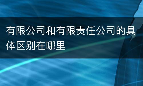 有限公司和有限责任公司的具体区别在哪里