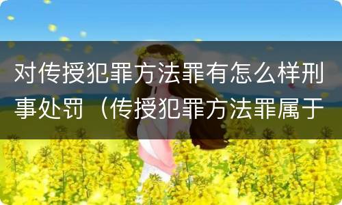 对传授犯罪方法罪有怎么样刑事处罚（传授犯罪方法罪属于什么罪）
