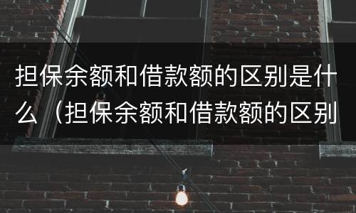 担保余额和借款额的区别是什么（担保余额和借款额的区别是什么呢）