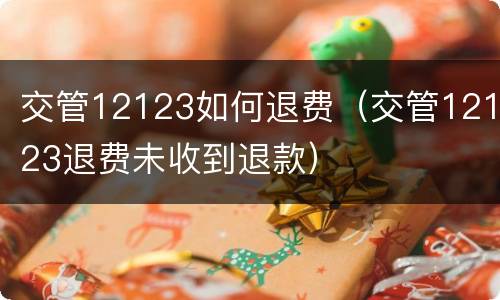 交管12123如何退费（交管12123退费未收到退款）