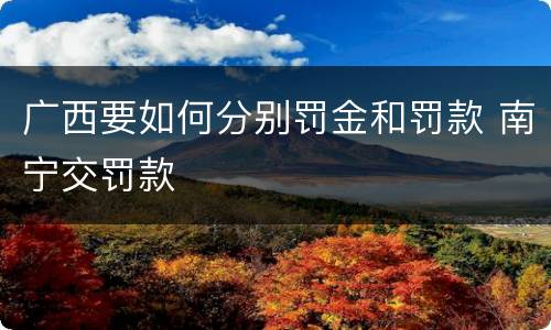 广西要如何分别罚金和罚款 南宁交罚款