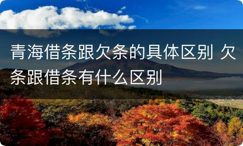 青海借条跟欠条的具体区别 欠条跟借条有什么区别