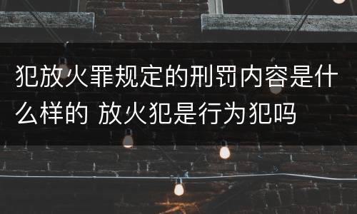 犯放火罪规定的刑罚内容是什么样的 放火犯是行为犯吗