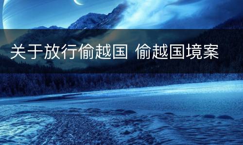 关于放行偷越国 偷越国境案