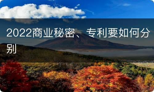 2022商业秘密、专利要如何分别